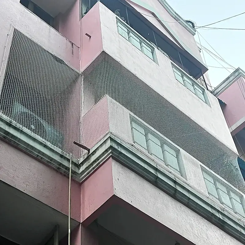 Pigeon Safety Nets installation in Mysuru, photo 1