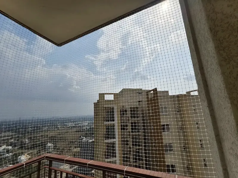 Pigeon Safety Nets in Chennai